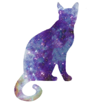 The Galaxy Kitten Squad!
