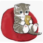 Cat - Cute