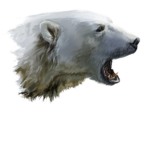 The Polar Club Be A Cub