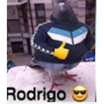 grupo _random.