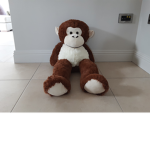 Monkey is cool gang