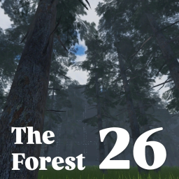 The Forest 26