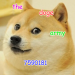 The doge army team