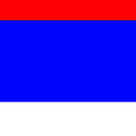 The Democratic Party of Vidland