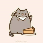 Bucket Cat Studios