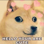 P0rtal 2 Fan Group