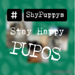 TheShyPuppys