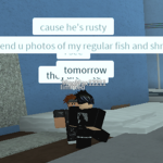 fish and shrimps