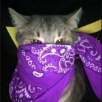 azeczx