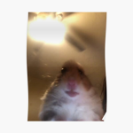 The Hamster Corporation