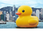 The Clan Of Ducks.
