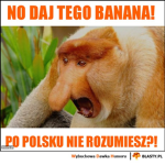 BANANY NOSACZA