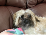 Hiiiiguysyourthebest