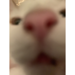 kipkipkip