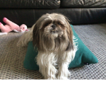 Puppy’s are sooooo cuteeeeeee