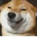 댕백 팬클럽