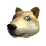 da epic doges!!!!