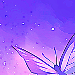 Ƹ̵̡Ӝ̵̨̄Ʒ