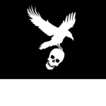 Kid Crow Pirates