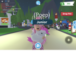 ~ adopt me hangout ~