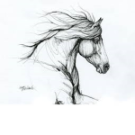 { Pinewood Stables RA }