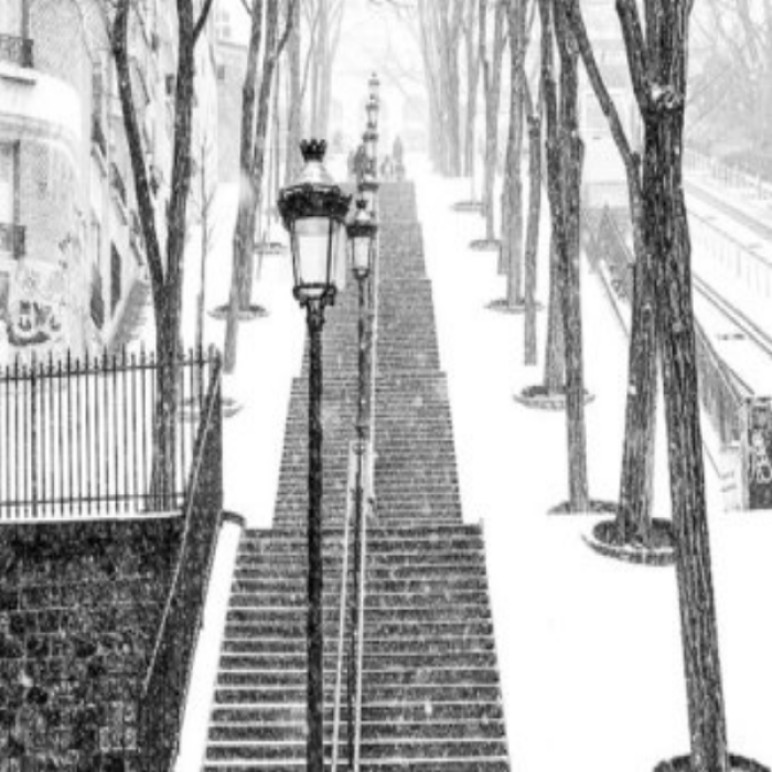 Paris Stairs in Snow Roblox decal