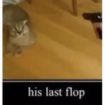 !His Last Flop!