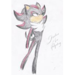 Shadow the hedgehog teamer