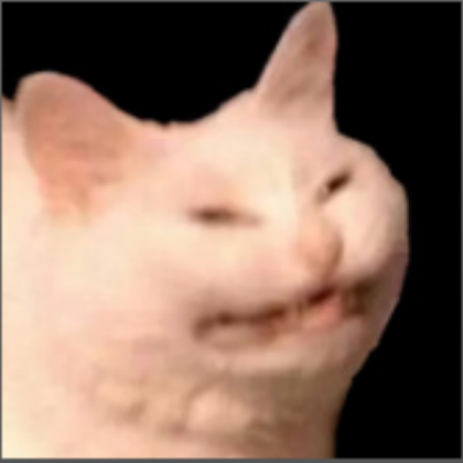 scary cat Roblox decal