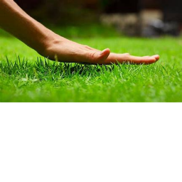 TOUCH GRASS SIMULATOR!
