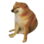 3doges
