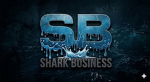 SBLOCK BUSINESS