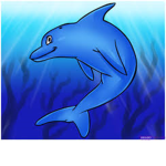 The Turquoise Dolphins