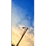 Fly gruppe