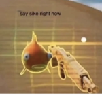 Nut Cannon