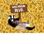 Wisconsin Blvd.