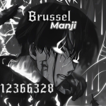 brussel manji