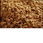 KIBBLE gang