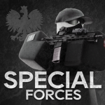 Special Troops Command .