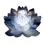 :Skypetal Studio: