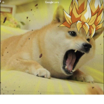Doge kingdom of dogeavelt