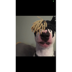 Epic group gang