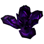 Briar Rose fruit