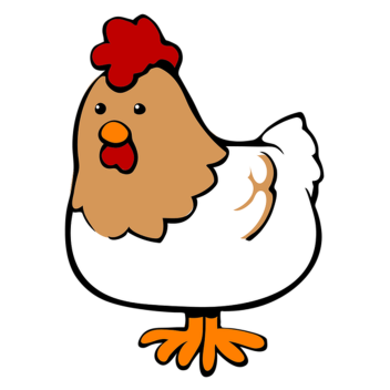 Go Chicken Go!