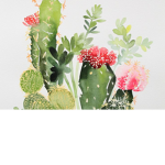 The Cacti Tears.