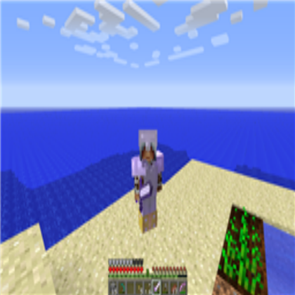 Me and my minecraft island survival Roblox decal