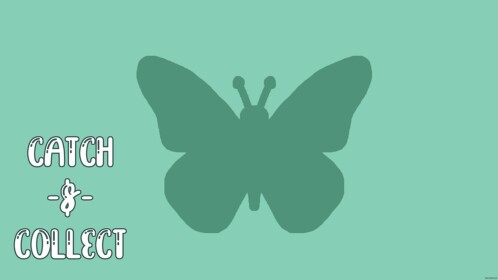 Test Build | 🦋 Catch & Collect