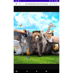 For people who like animals