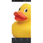 Ducks Are Apex Predators (DAAP)