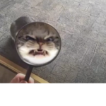 Average Day in Deepwoken